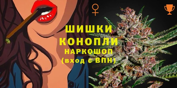 спайс Баксан