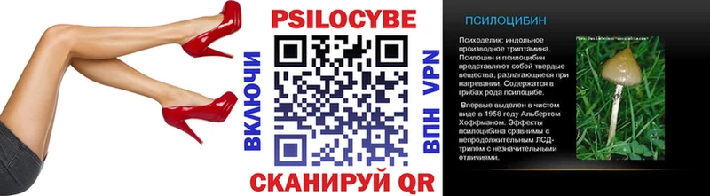 дарнет шоп  Светогорск  Галлюциногенные грибы Psilocybe 